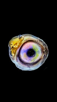 an image of a colorful eye on a black background